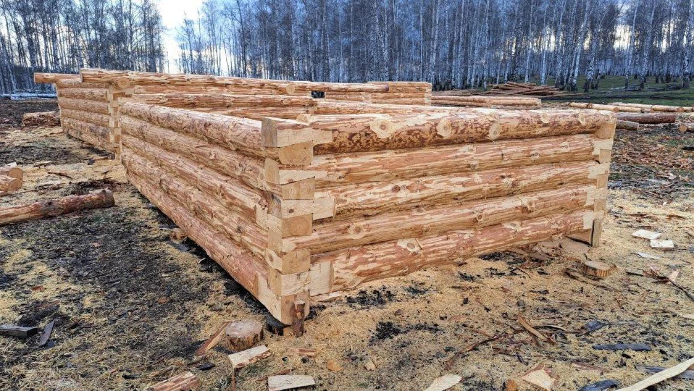 Срубы из сосны любых размеров в наличии и на заказ. - Орск