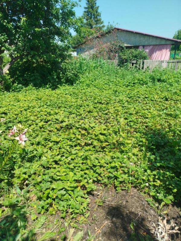 В октябре продам сад в седьмом микрорайоне"Кумочок"Много наслаждений. - Орск