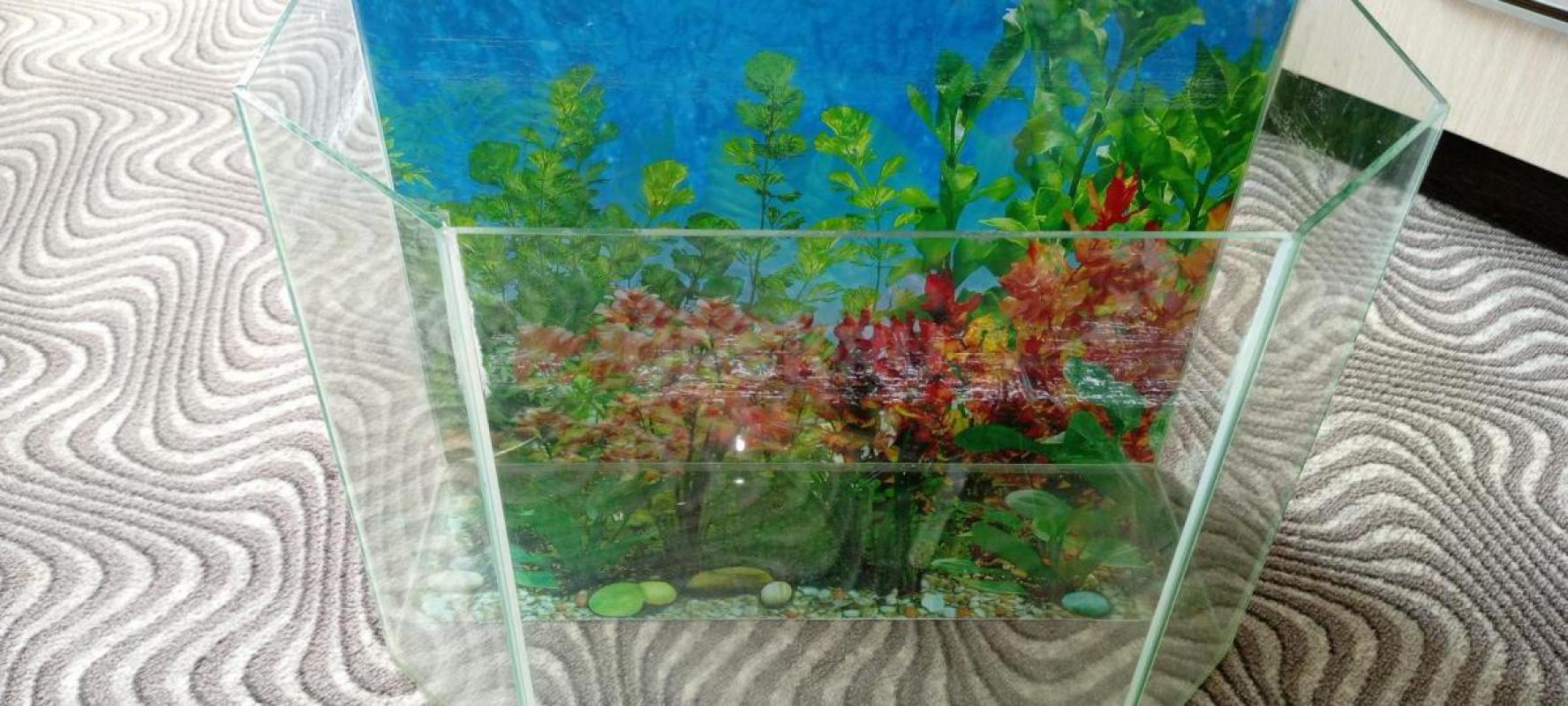 Продам аквариум, цена 1500р. - Орск