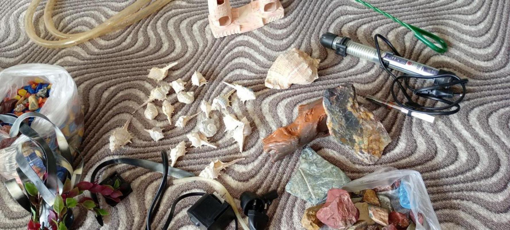 Продам аквариум, цена 1500р. - Орск