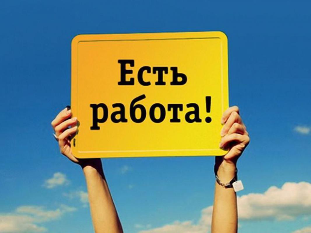 Оплата ежедневная, г. - Гай