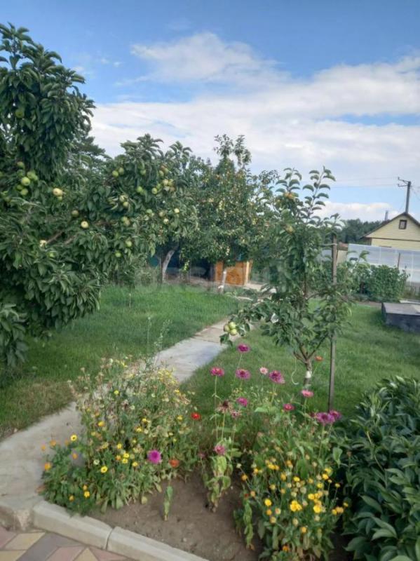 Продам сад в СНТ Ударник,площадь 5.3,все насождения,дом 27 кв. - Орск