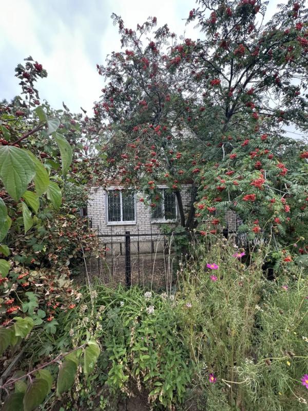 ID объекта в нашей базе: 351 - Оренбург