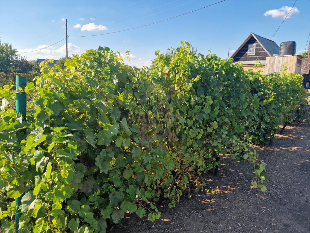 СРОЧНО ПРОДАЕТСЯ ДАЧА !!! - Оренбург