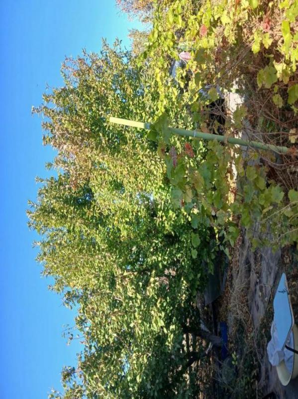 ПРОДАМ УЧАСТОК С ДОМИКОМ (14 КВ. - Орск